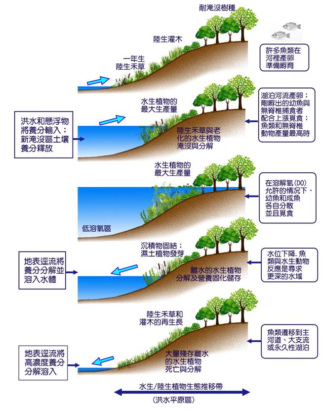 第14 章河流生態學的基礎