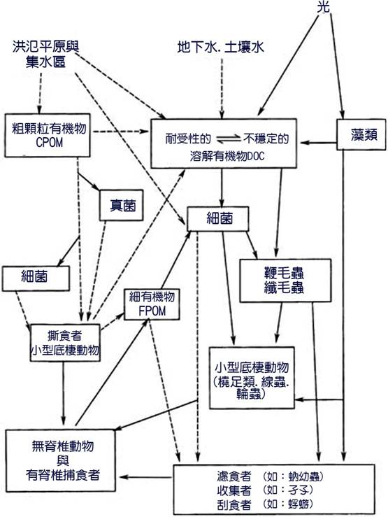 河流生態學 Cover01 河流生態學永續社 林雨莊編譯 第1章 河流生態系統概述 第2章 河水流動 第3章 河流地貌 第4章 河流水的化學 第5章 非生物環境 第6章 初級生產者 第7章 碎屑能源 第8章 營養關係 第9章 物種的相互作用 第10章 溪流生態社區 第11章 營養動能 第