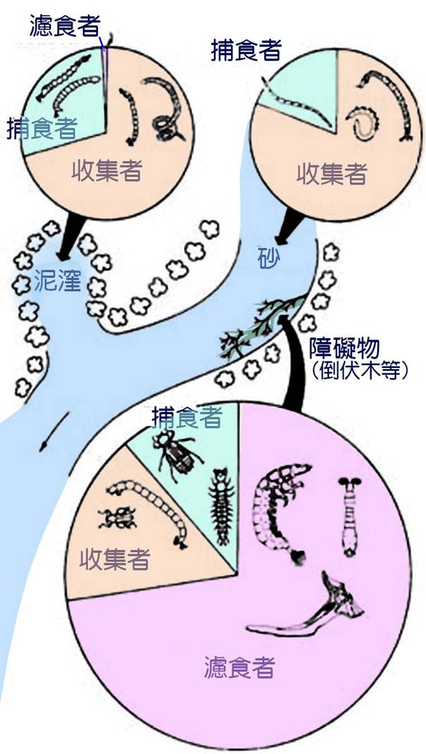 河流生態學 Cover01 河流生態學永續社 林雨莊編譯 第1章 河流生態系統概述 第2章 河水流動 第3章 河流地貌 第4章 河流水的化學 第5章 非生物環境 第6章 初級生產者 第7章 碎屑能源 第8章 營養關係 第9章 物種的相互作用 第10章 溪流生態社區 第11章 營養動能 第