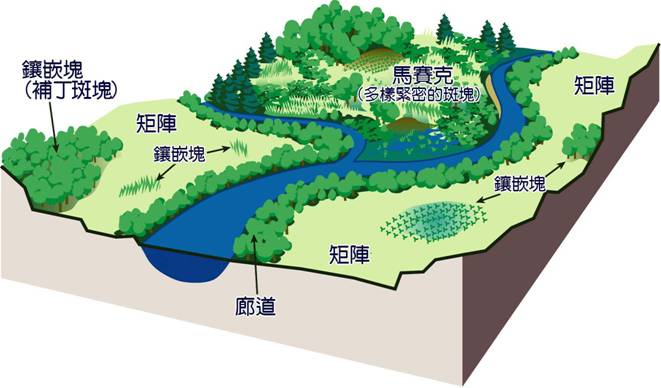 1-4景觀可以用矩陣、鑲嵌斑塊、廊道和馬賽克等不同尺度來描述.jpg