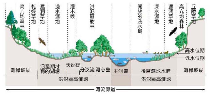 1-11河道的橫截面.jpg