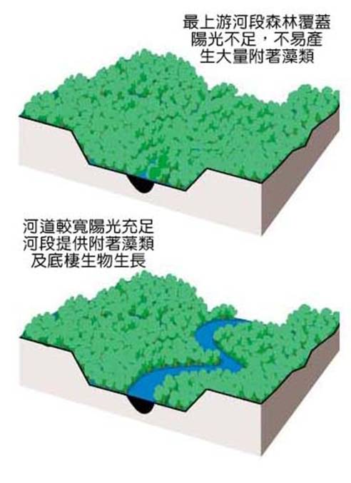 1-25河流廊道植被結構.jpg