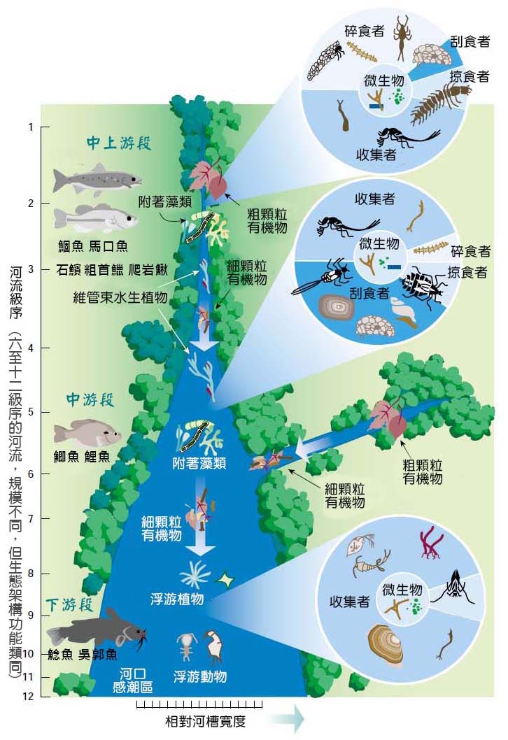 1-34河流連續體概念.jpg