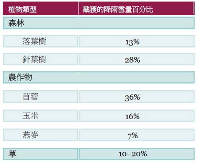 T2-1植被截留雨水比例.jpg