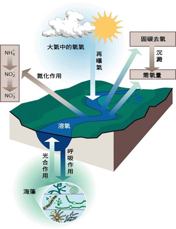 2-20-BOD和COD的相互關係.jpg