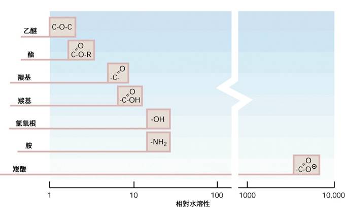 2-22不同功能組的相對水溶性.jpg