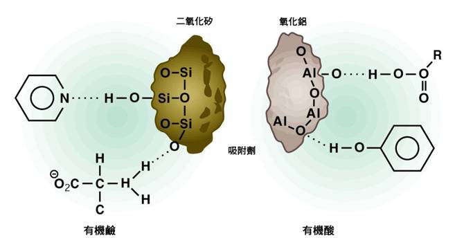 2-27天然有機物和礦物表面的兩種重要氫結.jpg