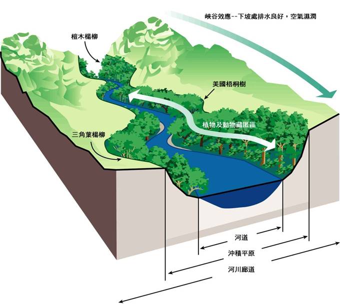 2-30河流峽谷氣流效應.jpg