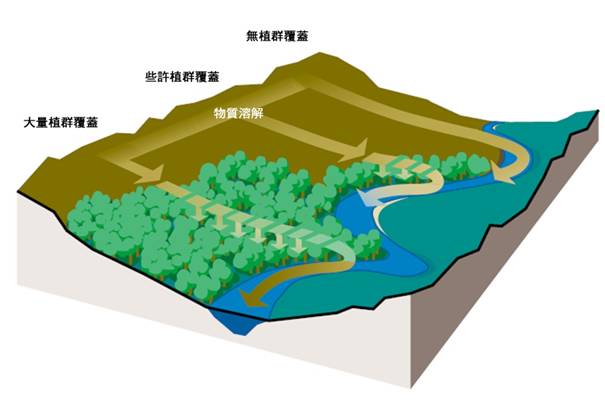 2-40植被緩衝區的寬度影響過濾和障礙功能.jpg